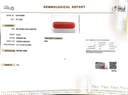 8.16/Carat Natural Cylindrical Red Coral-1800